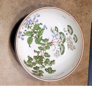 Nelson Lebo Botanical Herb Garden Ceramic Serving Salad Bowl Dill Parsley Borage